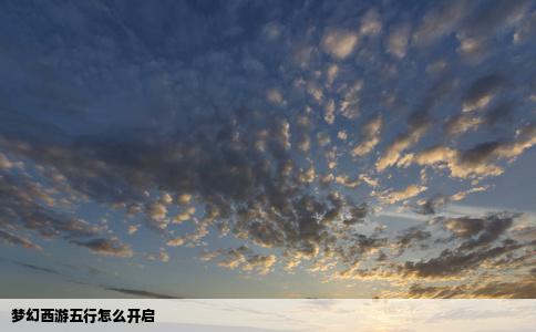 梦幻西游五行怎么开启