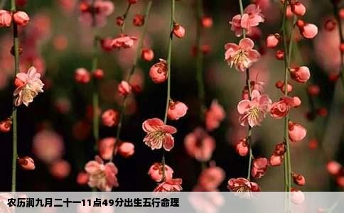 农历润九月二十一11点49分出生五行命理