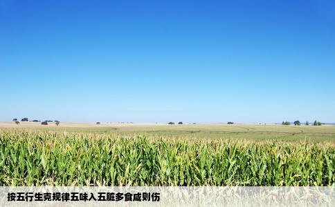按五行生克规律五味入五脏多食咸则伤