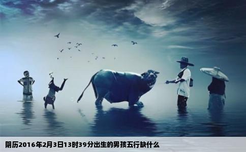 阴历2016年2月3日13时39分出生的男孩五行缺什么