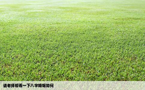 请老师帮看一下八字婚姻如何