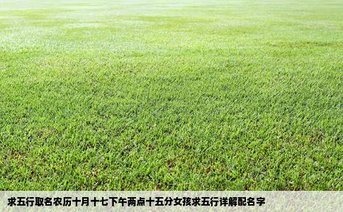 求五行取名农历十月十七下午两点十五分女孩求五行详解配名字