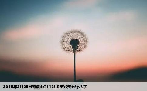 2015年2月25日零晨5点11分出生男孩五行八字
