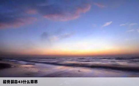 称骨算命43什么意思