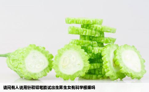 请问有人说用针和铅笔能试出生男生女有科学根据吗
