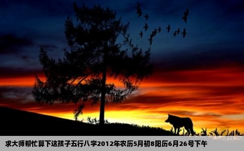 求大师帮忙算下这孩子五行八字2012年农历5月初8阳历6月26号下午