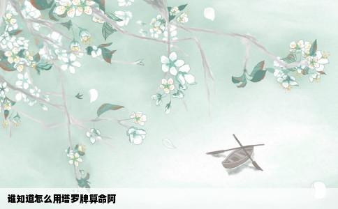 谁知道怎么用塔罗牌算命阿