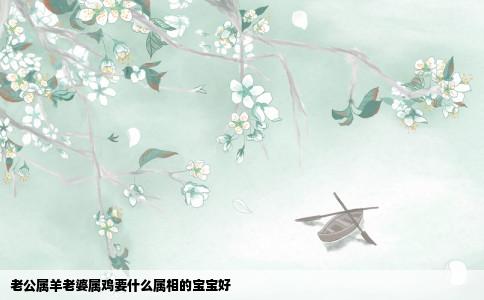 老公属羊老婆属鸡要什么属相的宝宝好