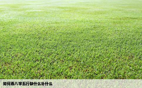 如何看八字五行缺什么补什么