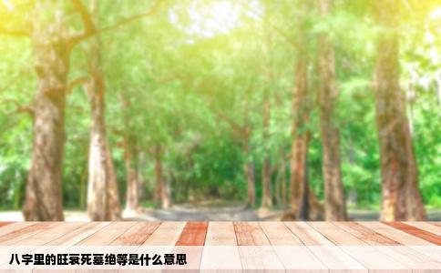 八字里的旺衰死墓绝等是什么意思