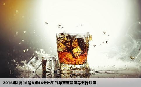 2016年1月16号8点46分出生的羊宝宝是啥命五行缺啥