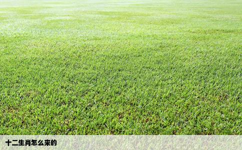 十二生肖怎么来的