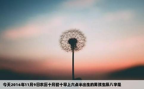 今天2016年11月9日农历十月初十早上六点半出生的男孩生辰八字是