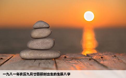 一九八一年农历九月廿四卯时出生的生辰八字