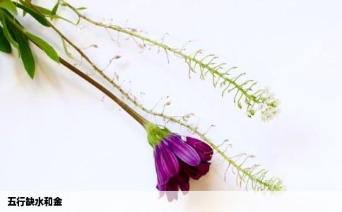 五行缺水和金