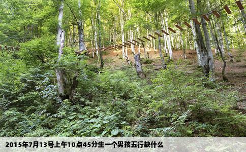 2015年7月13号上午10点45分生一个男孩五行缺什么