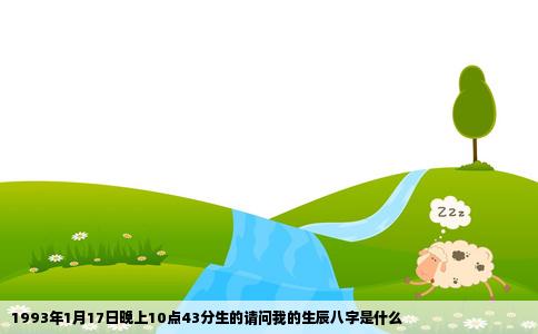 1993年1月17日晚上10点43分生的请问我的生辰八字是什么
