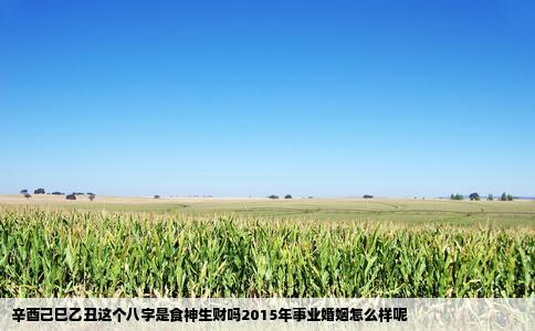 辛酉己巳乙丑这个八字是食神生财吗2015年事业婚姻怎么样呢