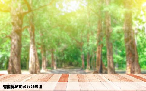 有能算命的么万分感谢