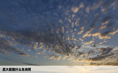 武大郎属什么生肖啊