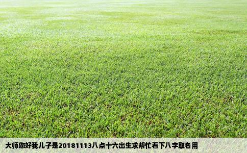 大师您好我儿子是20181113八点十六出生求帮忙看下八字取名用