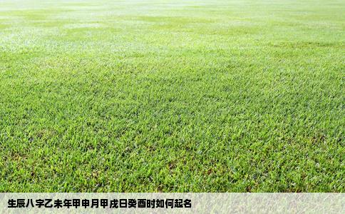 生辰八字乙未年甲申月甲戌日癸酉时如何起名