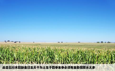 此命五行木旺缺金日主天干为土生于四季末季必须有金助但忌水太多