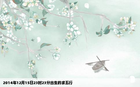 2014年12月15日23时23分出生的求五行