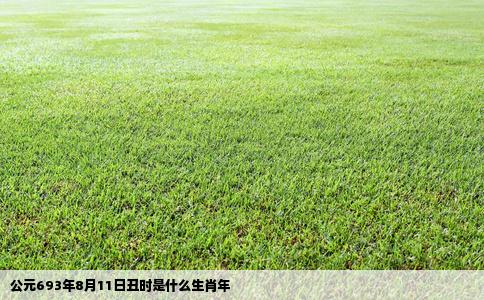 公元693年8月11日丑时是什么生肖年