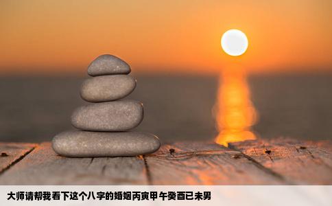 大师请帮我看下这个八字的婚姻丙寅甲午癸酉已未男