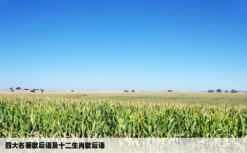 四大名著歇后语及十二生肖歇后语