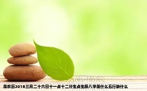 是农历2018三月二十六日十一点十二分生点生辰八字是什么五行缺什么
