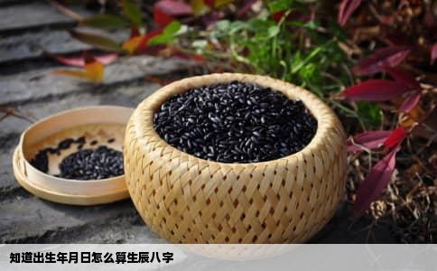知道出生年月日怎么算生辰八字