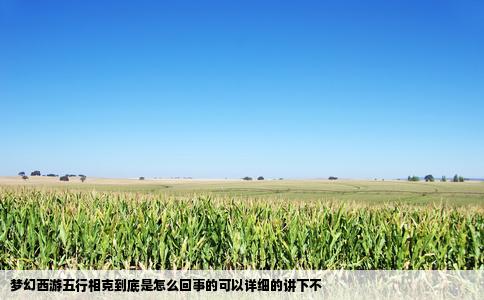 梦幻西游五行相克到底是怎么回事的可以详细的讲下不