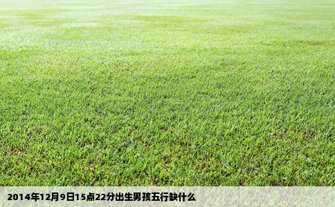 2014年12月9日15点22分出生男孩五行缺什么