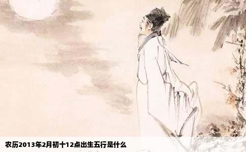 农历2013年2月初十12点出生五行是什么