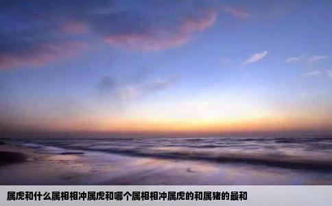 属虎和什么属相相冲属虎和哪个属相相冲属虎的和属猪的最和