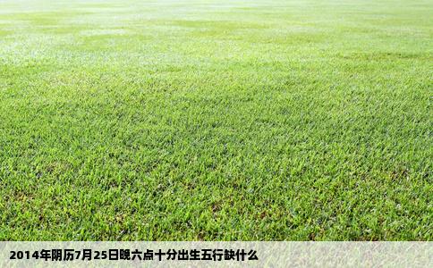 2014年阴历7月25日晚六点十分出生五行缺什么