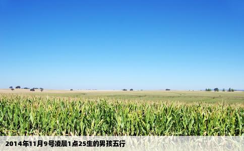 2014年11月9号凌晨1点25生的男孩五行