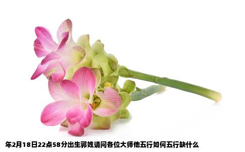年2月18日22点58分出生郭姓请问各位大师他五行如何五行缺什么