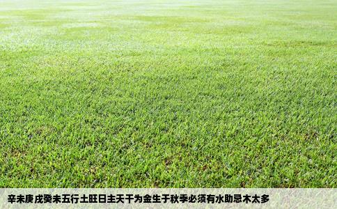 辛未庚戌癸未五行土旺日主天干为金生于秋季必须有水助忌木太多