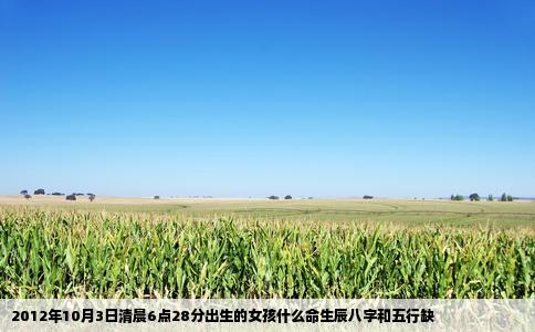 2012年10月3日清晨6点28分出生的女孩什么命生辰八字和五行缺