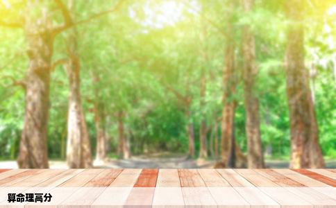 算命理高分