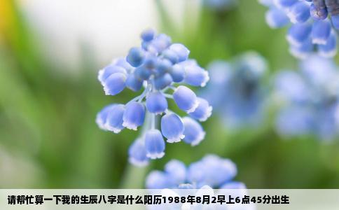 请帮忙算一下我的生辰八字是什么阳历1988年8月2早上6点45分出生