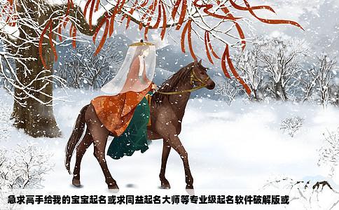 急求高手给我的宝宝起名或求同益起名大师等专业级起名软件破解版或