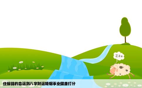 任鲸锦的命运测八字财运婚烟事业健康打分