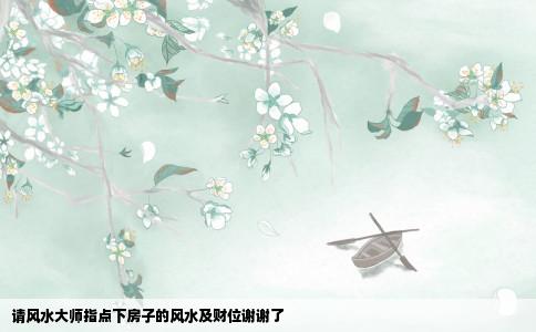 请风水大师指点下房子的风水及财位谢谢了