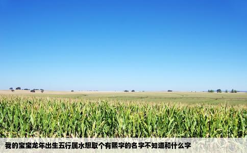 我的宝宝龙年出生五行属水想取个有熙字的名字不知道和什么字