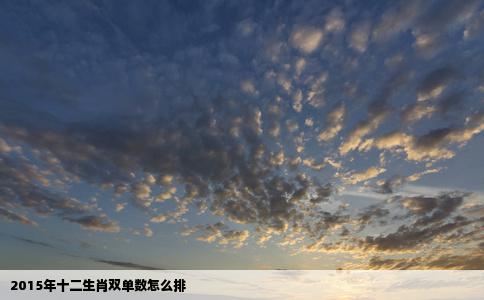 2015年十二生肖双单数怎么排