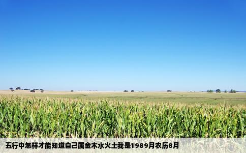 五行中怎样才能知道自己属金木水火土我是1989月农历8月